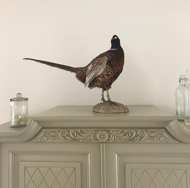 Vita Huset B&B Soelvesborg Eksteriør bilde
